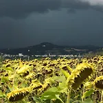 Casale Del Monte, *