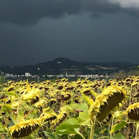 Casale Del Monte, *