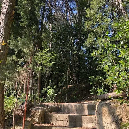 בית נופש Casale Del Monte, פסארו