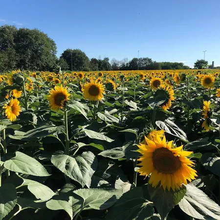 Dom wakacyjny Casale Del Monte,